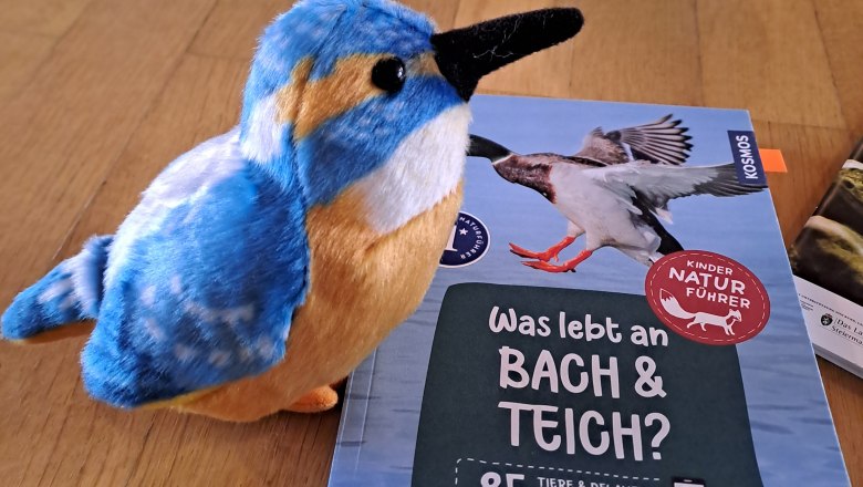 Spielerisch unsere lokale Natur, wie den Eisvogel kennenlernen, © Naturpark Ybbstal Spielerisch unsere lokale Natur, wie den Eisvogel kennenlernen, © Naturpark Ybbstal