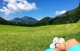 NÖ Eisenwurzen - Voralpenblick auf der Promau, © Gemeinde Hollenstein NÖ Eisenwurzen - Voralpenblick auf der Promau, © Gemeinde Hollenstein