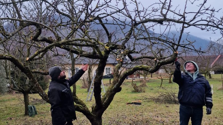 Obstbaum-Schnittkurs, © npj Obstbaum-Schnittkurs, © npj