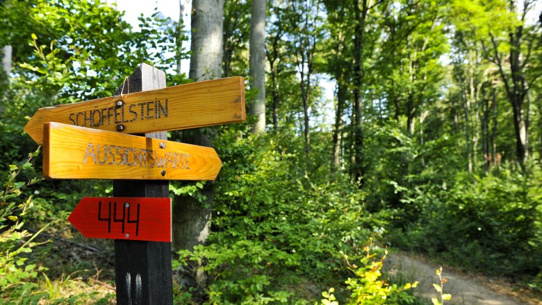 Wo gehts hin? Naturpark Purkersdorf, © Naturparke Niederösterreich/POV