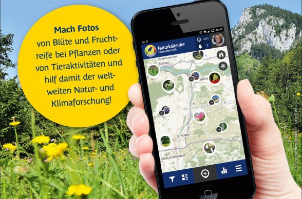 Hol dir die App!, © Naturparke Niederösterreich/POV