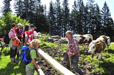 Familie am Bauernhof in Hollenstein, &copy; Naturparke Nieder&ouml;sterreich/POV