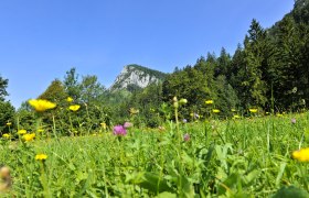 Falkenstein, © Naturparke Niederösterreich/POV