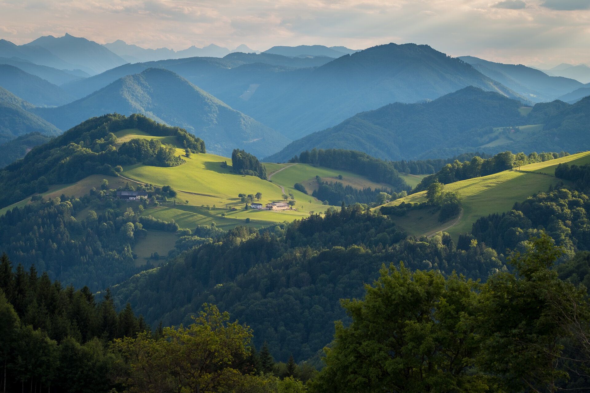 Die sanften Hügel und majestätischen Berge laden zu unvergesslichen Erlebnissen in der Natur ein. Saftige Wiesen und dichte Wälder schaffen eine harmonische Kulisse, die zum Entspannen und Erkunden einlädt. Hier, im Herzen des Naturparks Ötscher-Tormäuer, wird der Sommer zum wahren Paradies der Blicke.