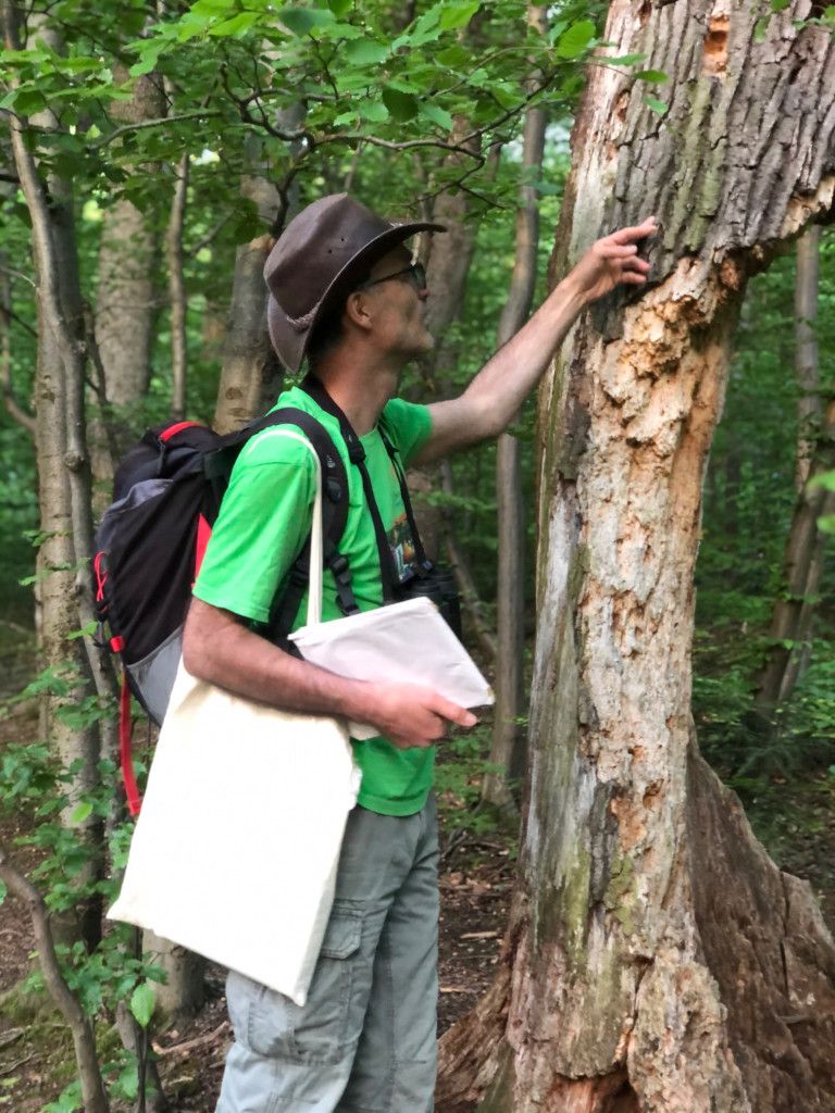 Naturpark Spechtln mit Gernot