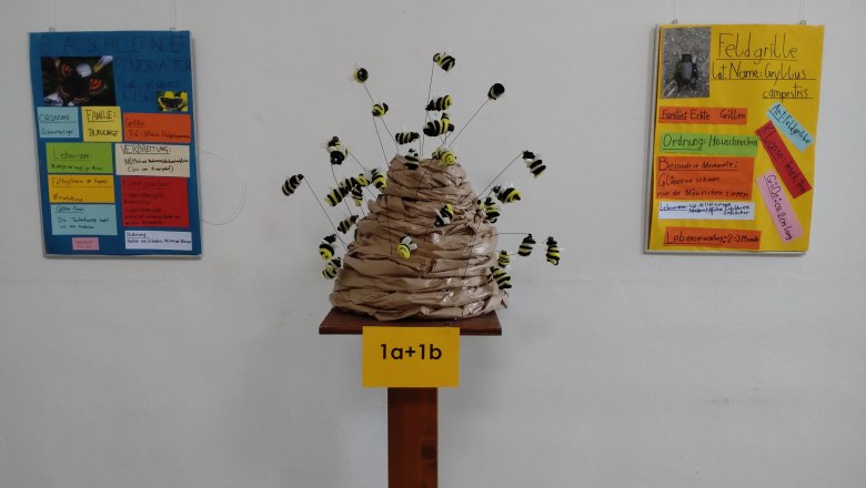 Ausstellung Bienenstock, © Naturpark Mannersdorf