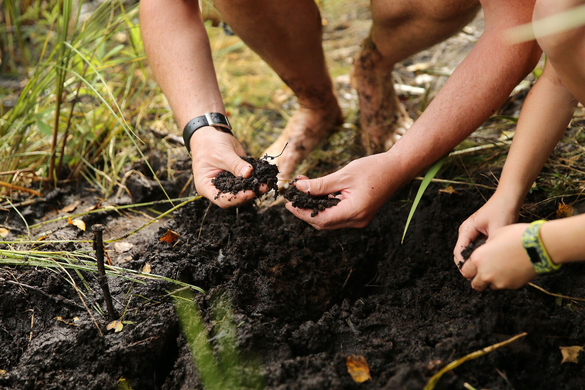 Inmitten des Hochmoors Schrems wird die Erde von den Händen der Entdecker sanft aufgewühlt. Die feuchte, dunkle Erde zeugt von der reichen Biodiversität, die hier gedeiht. Ein Ort, an dem Natur und Mensch harmonisch miteinander verbunden sind.