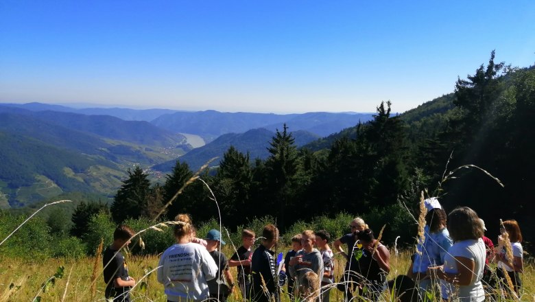 Naturparktag der NMS Emmersdorf , © Naturpark Jauerling Wachau