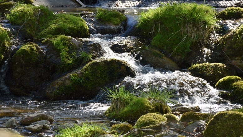 Kleiner Wasserfall Naturpark Eisenwurzen, © Naturpark Eisenwurzen/Christine Baron