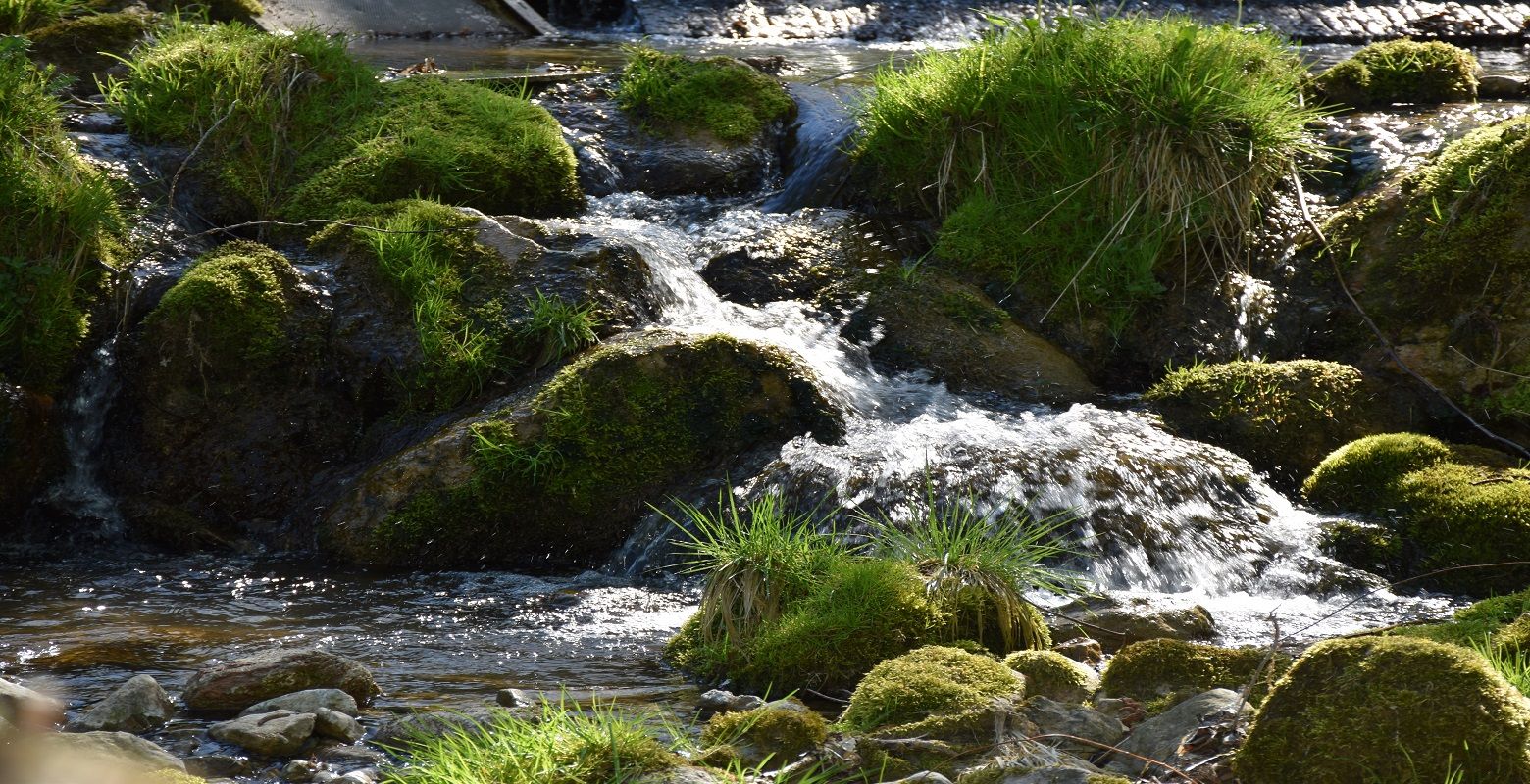 Kleiner Wasserfall im Naturpark Eisenwurzen