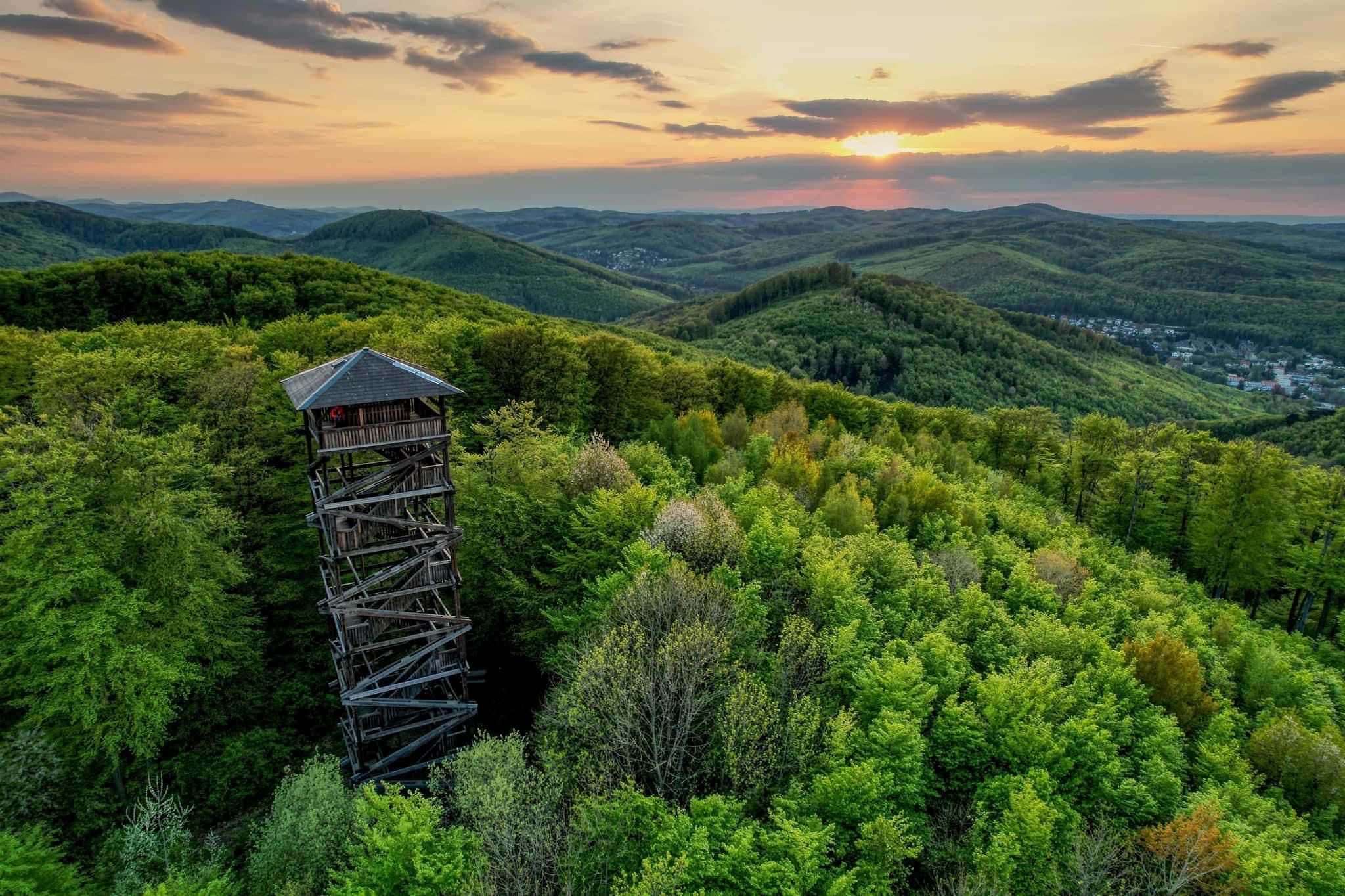 Luftbildaufnahme der grünen Waldfläche mit der Aussichtswarte im Naturpark Purkersdorf in der sommerlichen Abendsonne