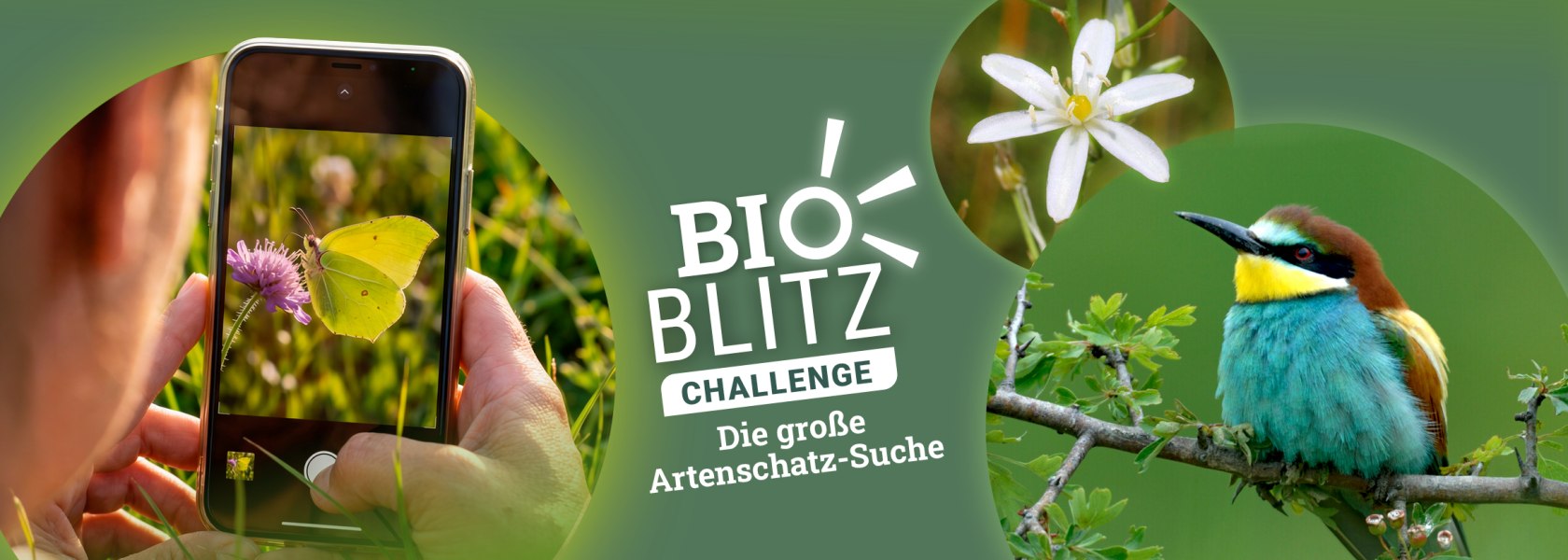 Bioblitz - Wir z&auml;hlen die Arten in unseren Naturparken!, &copy; message