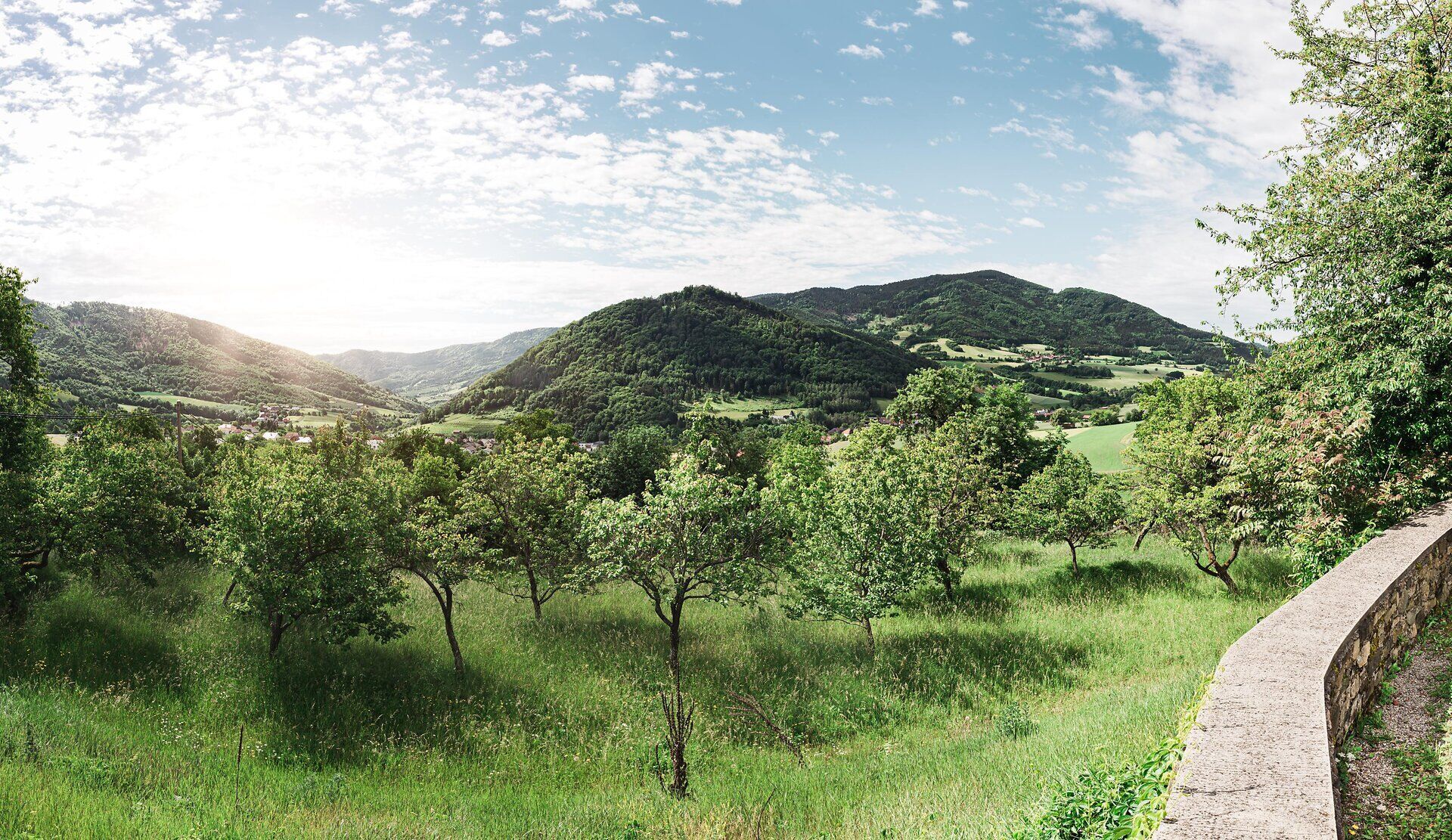 Die sanften Hügel des Naturparks Jauerling laden zu unvergesslichen Wanderungen ein. Saftige Wiesen und blühende Obstbäume schaffen eine malerische Kulisse, während die Sonne sanft über die Landschaft strahlt. Hier erleben Besucher die Ruhe und Schönheit der Natur in vollen Zügen.