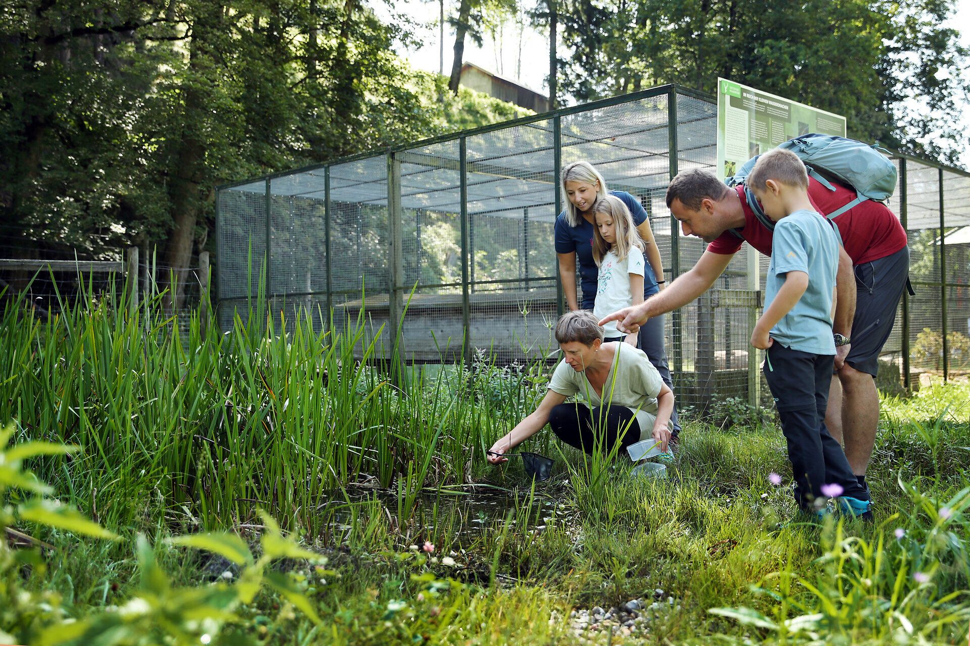Eine Mitarbeiterin des Naturpark Falkenstein zeigt einer Familie die unterschiedlichen Teichbewohner. 
