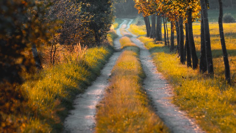 Feldweg im Naturpark Hochmoor Schrems - Platz 3, © Florian Rochla