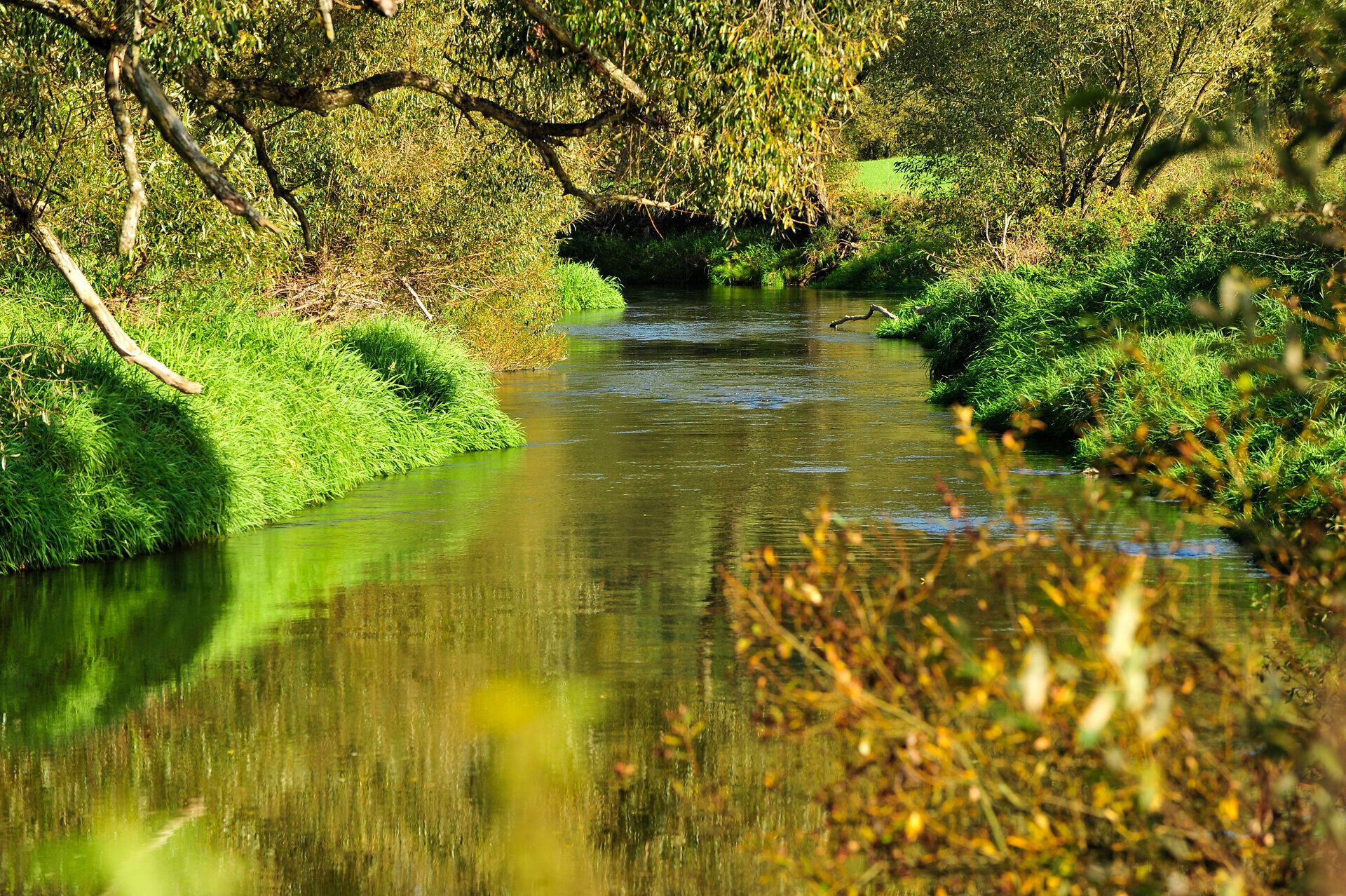 Ein sanft geschwungener Fluss schlängelt sich durch die üppige Landschaft, umgeben von saftigem Grün und schattenspendenden Bäumen. Die ruhige Atmosphäre lädt dazu ein, die Schönheit der Natur zu genießen und die Seele baumeln zu lassen.