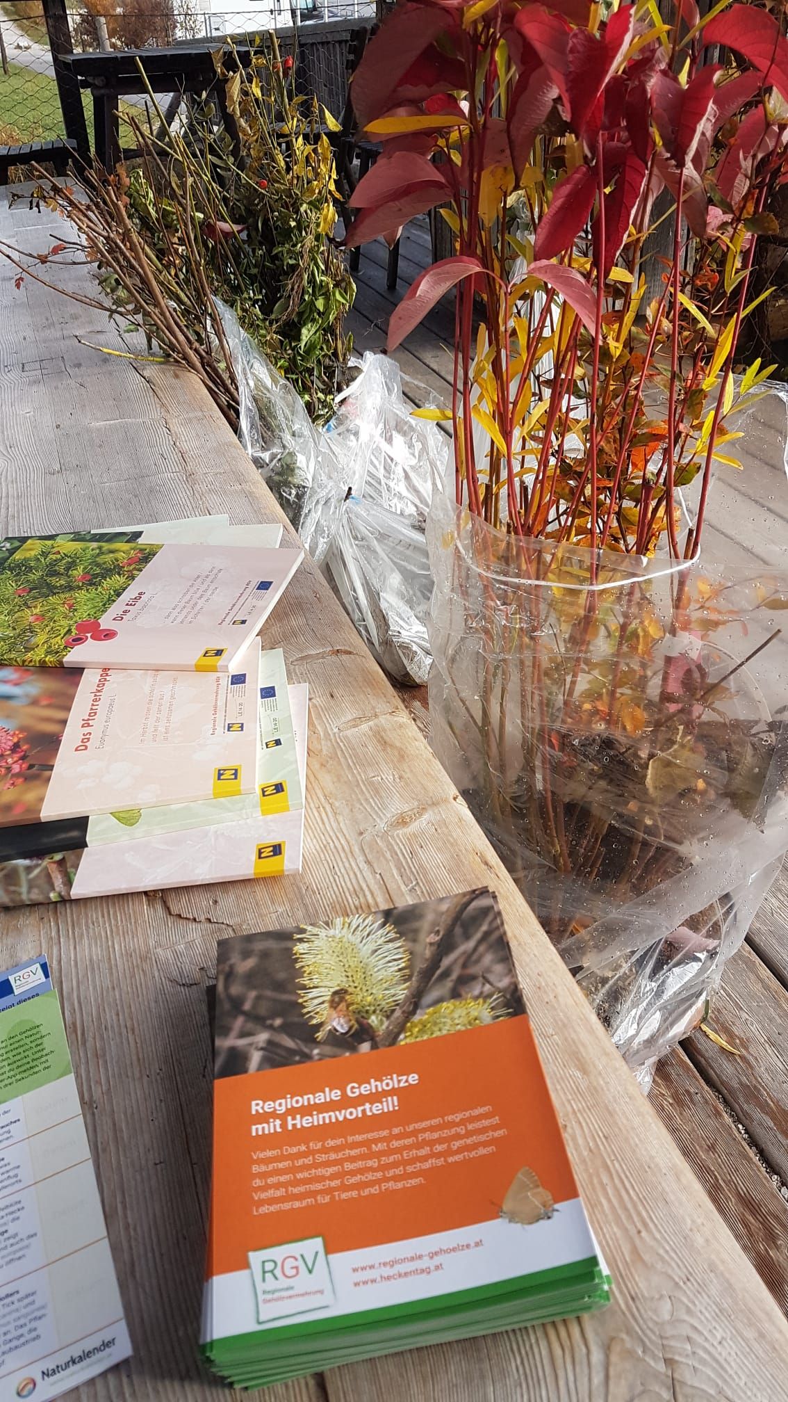 Heckentag im Naturpark Ötscher-Tormäuer