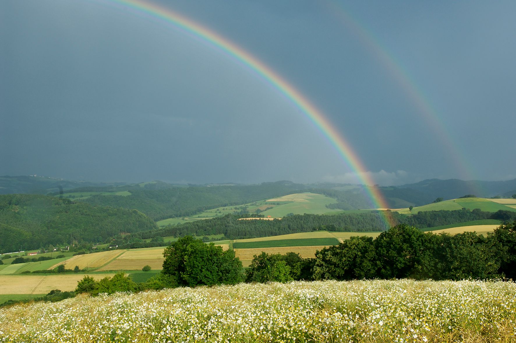 Regenbogen über dem Naturpark