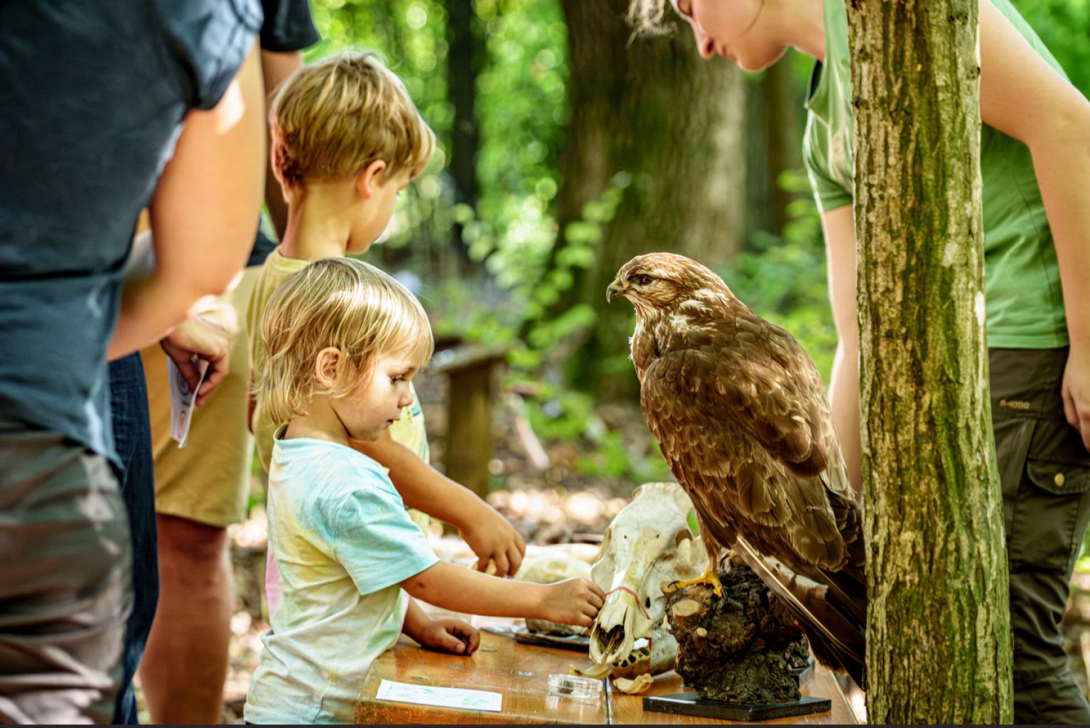 Naturparkfest