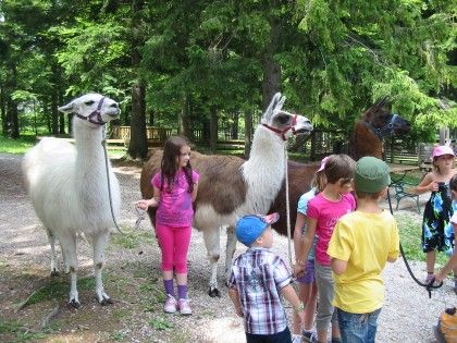 Kindergeburtstag Lamawanderung