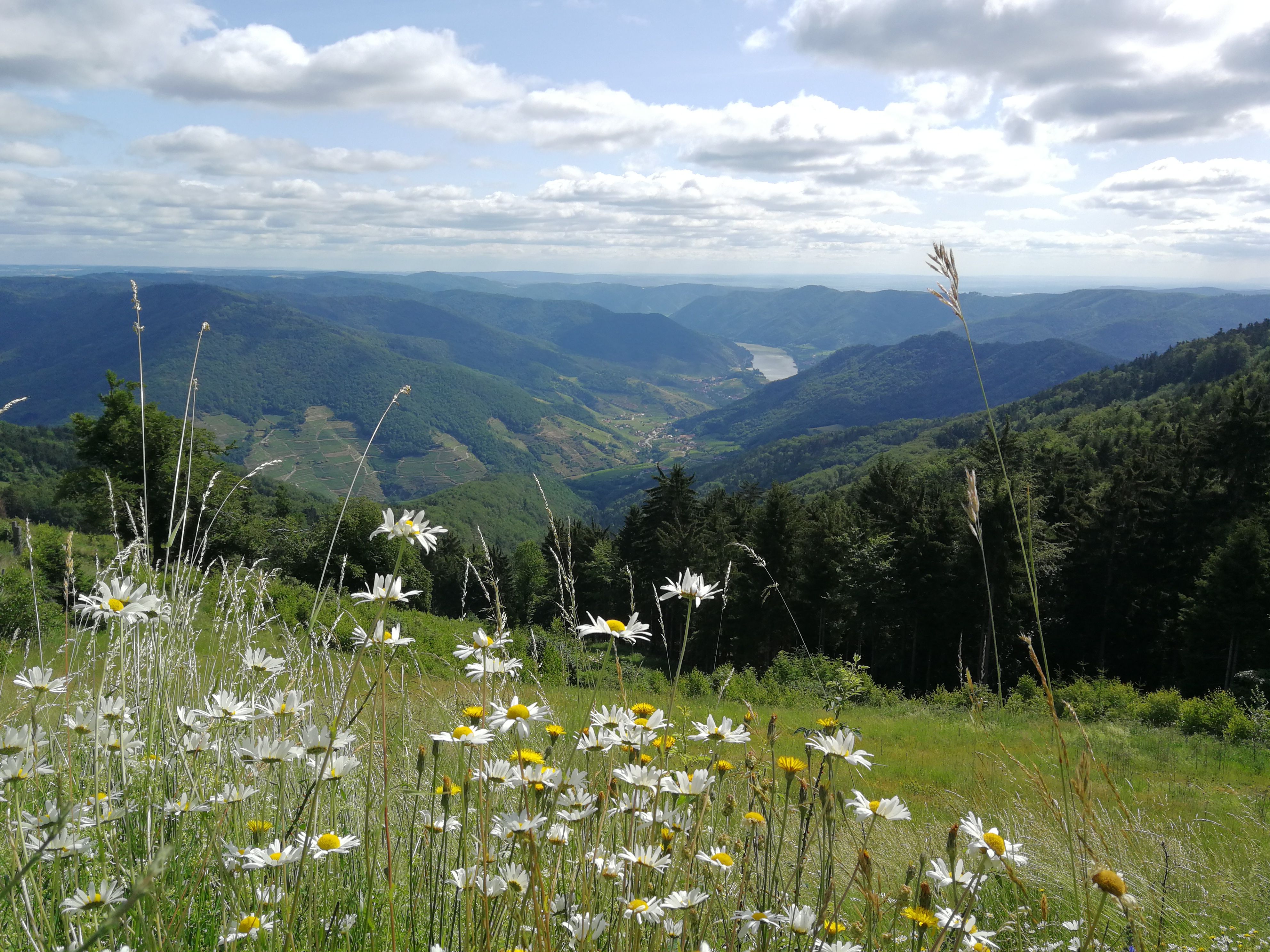 Die schöne Aussicht über den spitzer Graben vom Naturparkgashaus aus