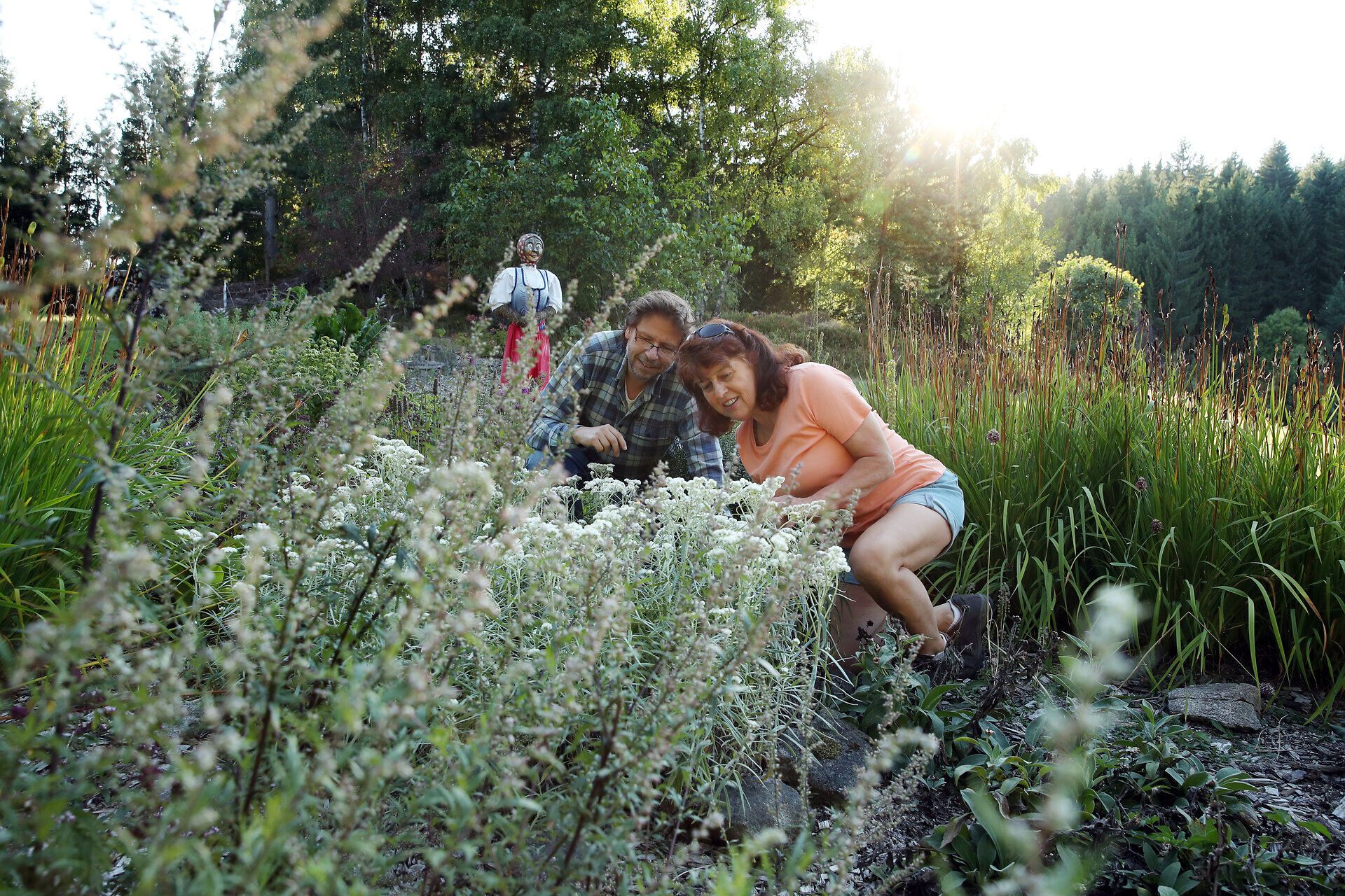 Ein Paar betrachtet den artenreichen Wegesrand im Naturpark Nordwald Grosspertholz.