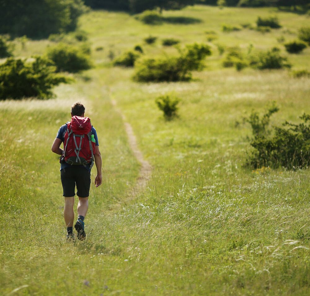 Ein Wanderer durchquert die sanften Hügel, umgeben von üppigem Grün und dem Duft blühender Wildblumen. Die ruhige Atmosphäre lädt dazu ein, die Seele baumeln zu lassen und die Schönheit der Natur zu genießen. Hier, wo der Wiener Wallfahrerweg verläuft, wird jeder Schritt zu einem Erlebnis der Besinnung und Erholung.