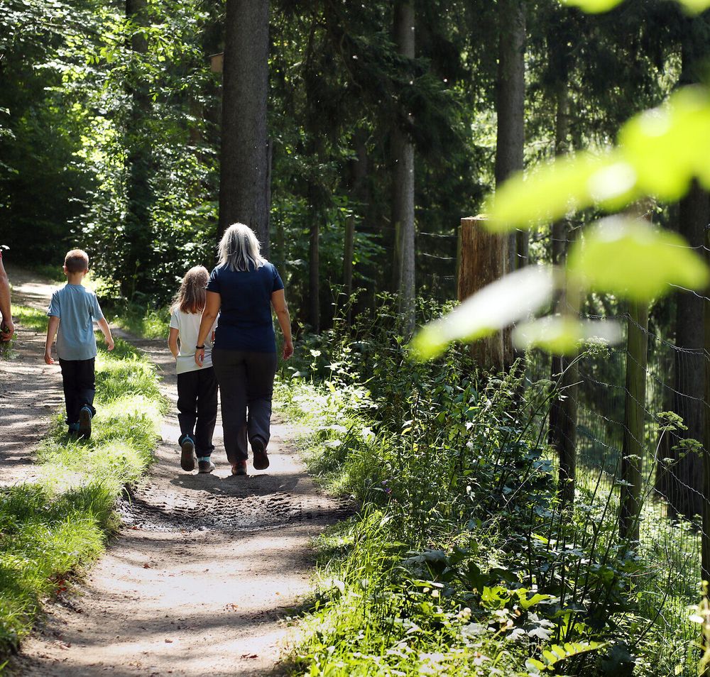 Eine Familie wandert entlang eines Schotterwegs neben dem Wildtiergehege im Naturpark Falkenstein. 