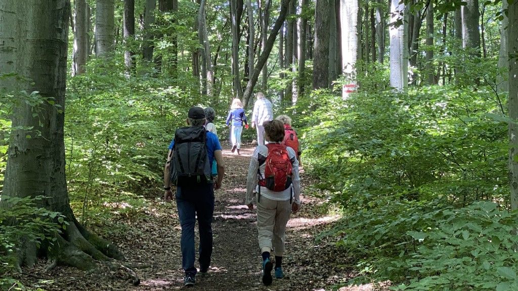 Wandern im Naturpark