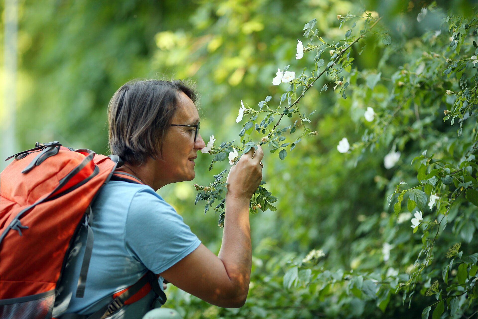 Ein Wanderer genießt den Duft der blühenden Sträucher entlang des Pilgerwegs. Die sanfte Brise und das Zwitschern der Vögel schaffen eine harmonische Atmosphäre, die zum Verweilen einlädt. Hier in der Natur findet man Ruhe und Inspiration für die Seele.