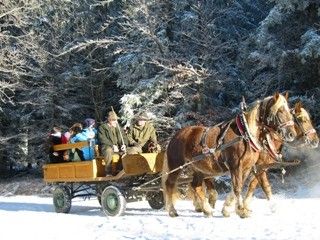 Kinderadvent Fahrt mit der Pferdekutsche 