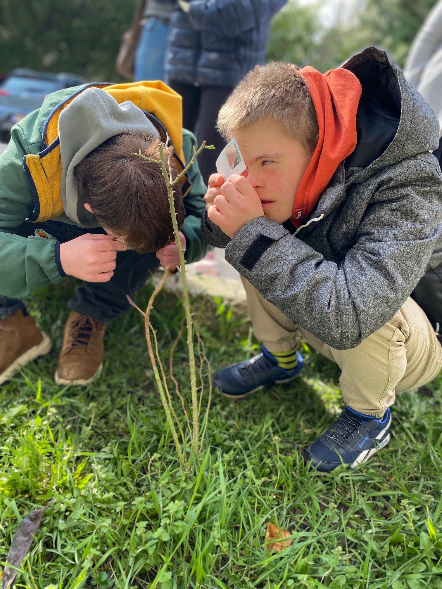 Die ersten Triebe der neuen Hecke werden von den Schülern der Naturpark-Schule Purkersdorf genau unter die Lupe genommen