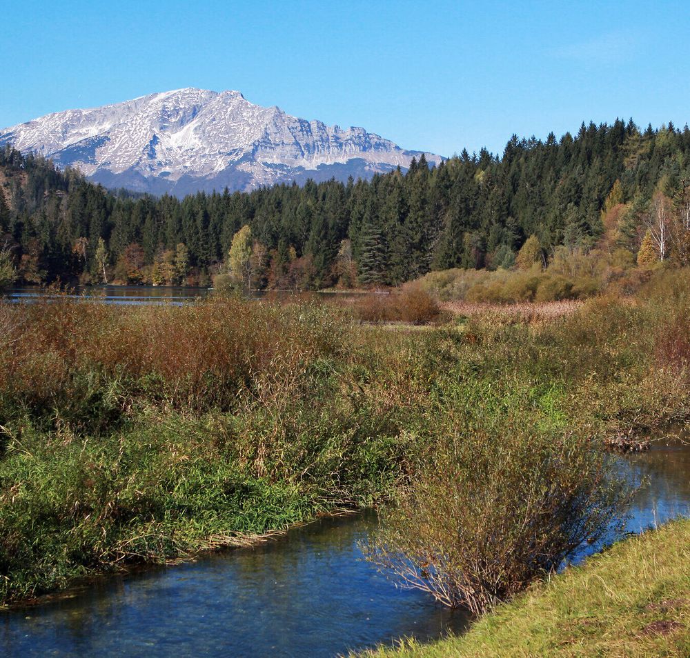 Die majestätischen Gipfel des Ötschers erheben sich stolz über die sanften Hügel und den glitzernden Erlaufstausee. Umgeben von üppigem Grün und bunten Herbstfarben, lädt diese idyllische Landschaft zum Verweilen und Entdecken ein. Hier, wo die Natur in voller Pracht erstrahlt, spürt man die Ruhe und den Zauber der Berge.