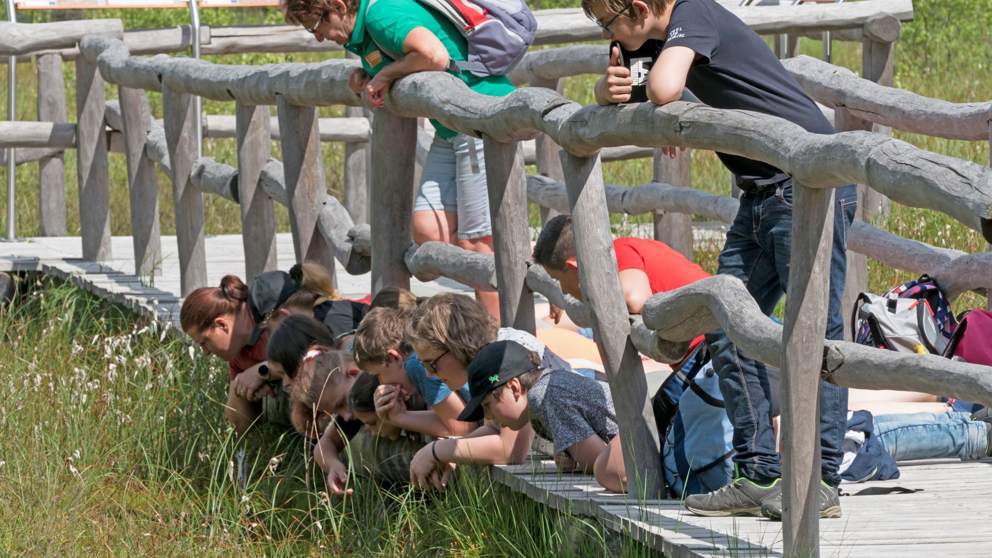 Kinder liegen auf einer Holzplattform im Moor und betrachten die Mooroberfläche