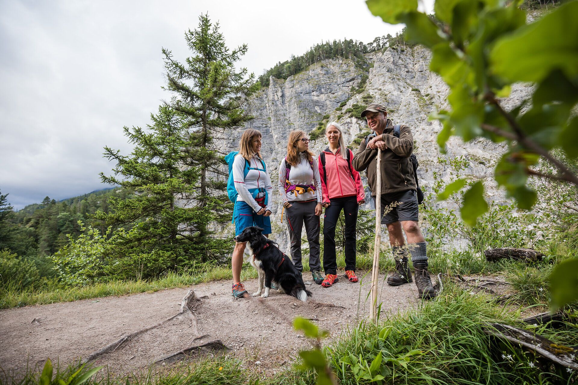 Inmitten der beeindruckenden Natur des Naturparks Ötscher-Tormäuer genießen Wanderer die frische Bergluft und die atemberaubenden Ausblicke. Die Gruppe, begleitet von einem erfahrenen Naturvermittler, erkundet die vielfältige Flora und Fauna, während sie sich auf den schmalen Pfaden durch die grüne Landschaft bewegen. Ein Hund begleitet die Wanderer und bringt zusätzlich Freude in diese harmonische Szenerie.