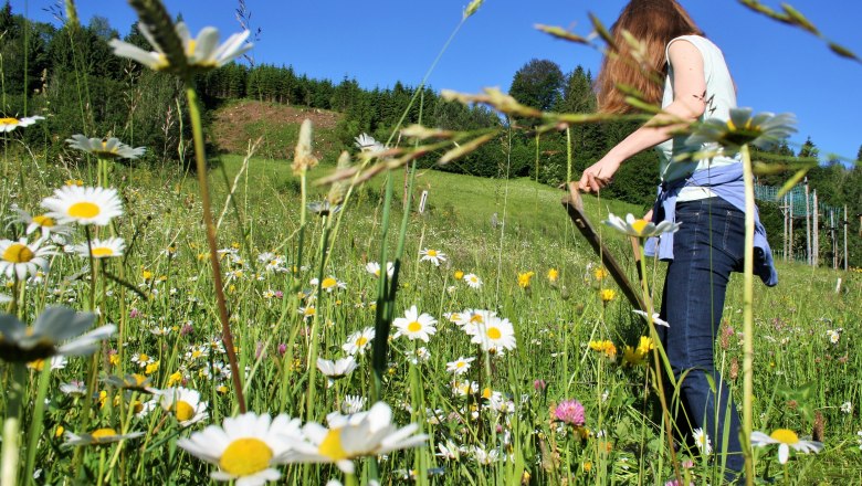 Stopp der Verwaldung, © Naturpark Ötscher-Tormäuer