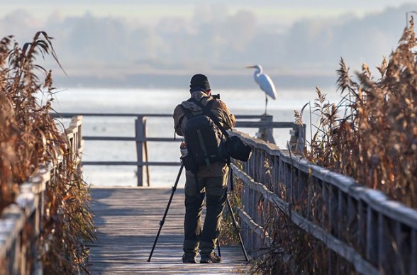 Nature photographer, © Heiko Stein auf Pixabay