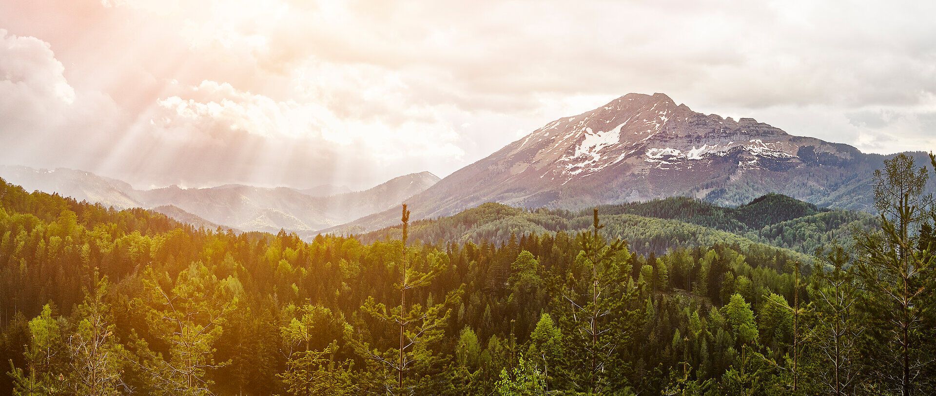 Die majestätischen Gipfel des Ötschers erheben sich stolz über die üppigen Wälder, während die sanften Sonnenstrahlen die Landschaft in ein warmes Licht tauchen. Hier, wo die Natur in voller Pracht erblüht, lädt die frische Bergluft zu unvergesslichen Erlebnissen ein.