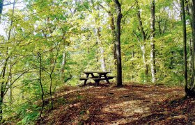 Geras - schattiger Rastplatz, © Naturpark Geras