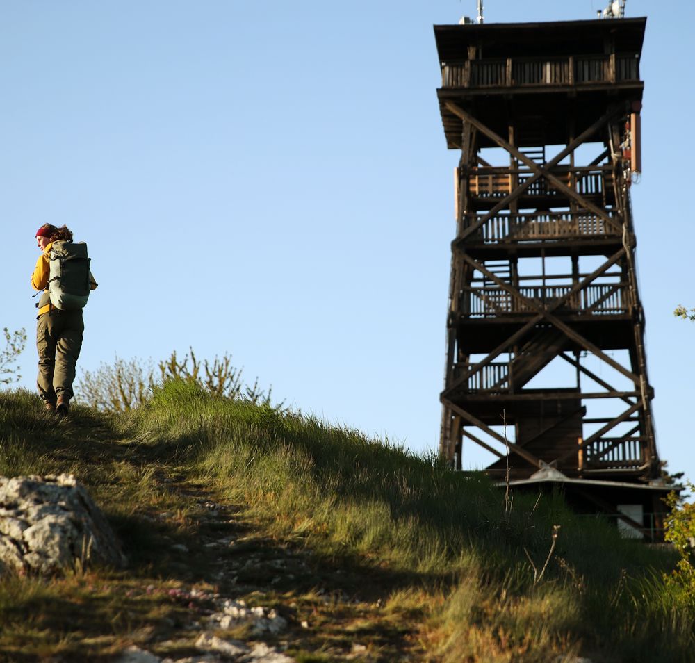 Wanderung auf dem Oberleiser Berg mit Blick zur Aussichtswarte