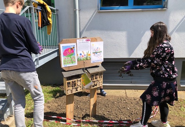 Hotels für die Insekten - NP Schule ASO, ©  NP Purkersdorf 