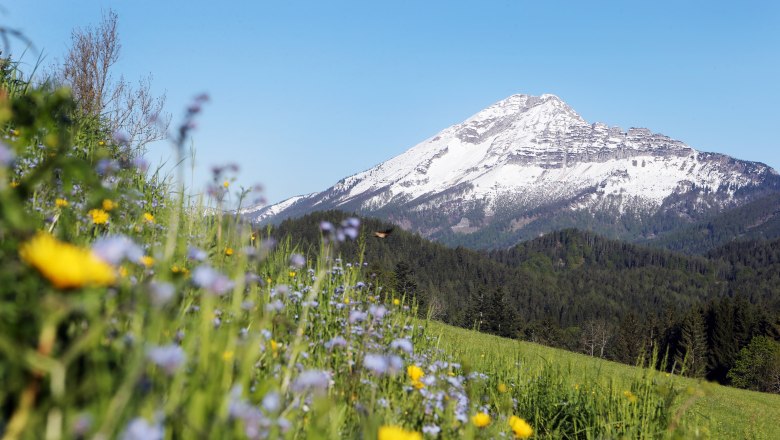 Ötscher - Der Vaterberg, © Naturpark Ötscher Tormäuer/Weinfranz