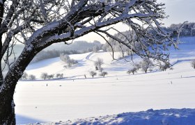 Winterwunderland am Jauerling, © POV