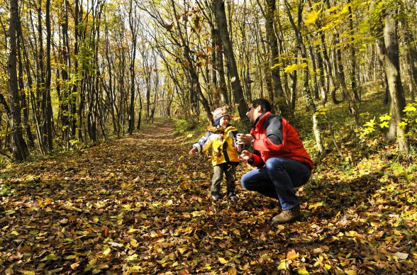 Herbst im Naturpark Föhrenberge, © Naturparke Niederösterreich/POV