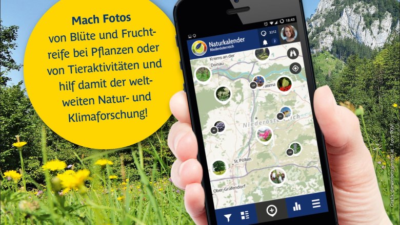 Hol dir die App!, © Naturparke Niederösterreich/POV