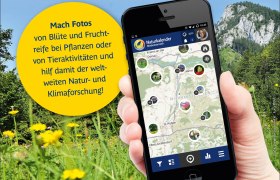 Hol dir die App!, © Naturparke Niederösterreich/POV