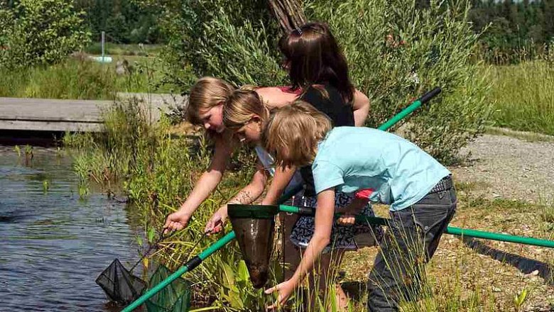 Junge Wasserforscher*innen im UnterWasserReich, © Hochmoor Schrems/W. Dolak