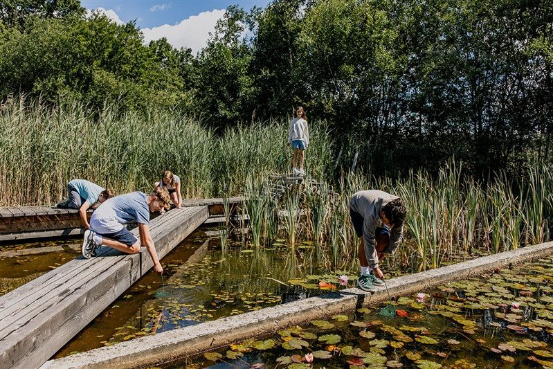 Keschern im Wassergarten