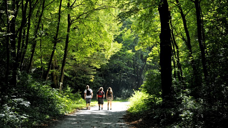 Forest trails at Mannersdorf Nature Park, © Naturparke Niederösterreich/POV