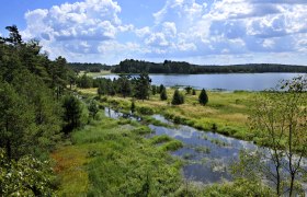 Moor Landscape, © POV